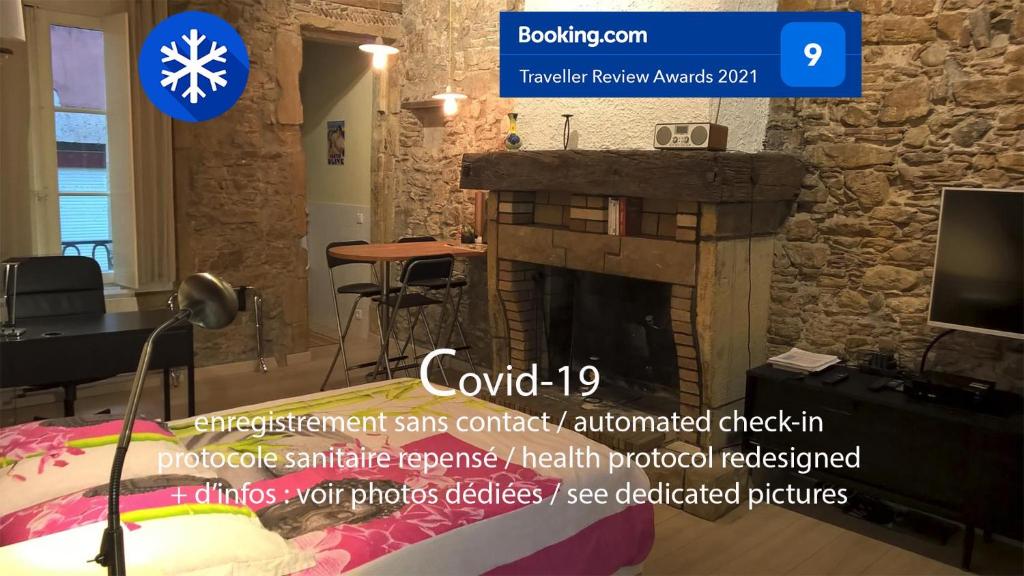 里昂魅力舒适科德利埃一室公寓的客厅设有壁炉和电视。