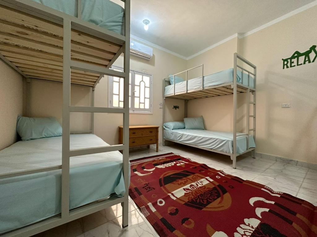 赫尔格达Skylen Hostel的一间设有两张双层床和地毯的房间