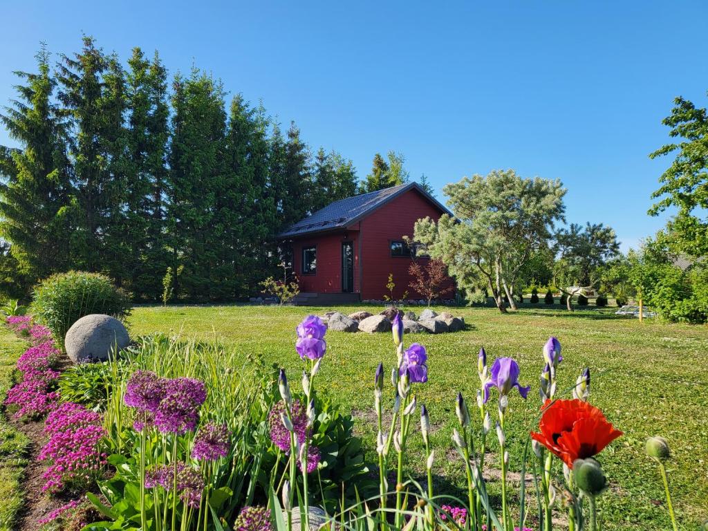 KäinaKuusekoda的红色房子前种满鲜花的花园