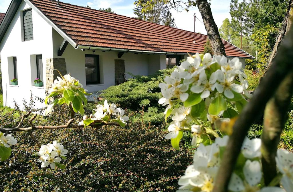 DunabogdányPalkovics vendégház Dunabogdány的前面有白色花的房子