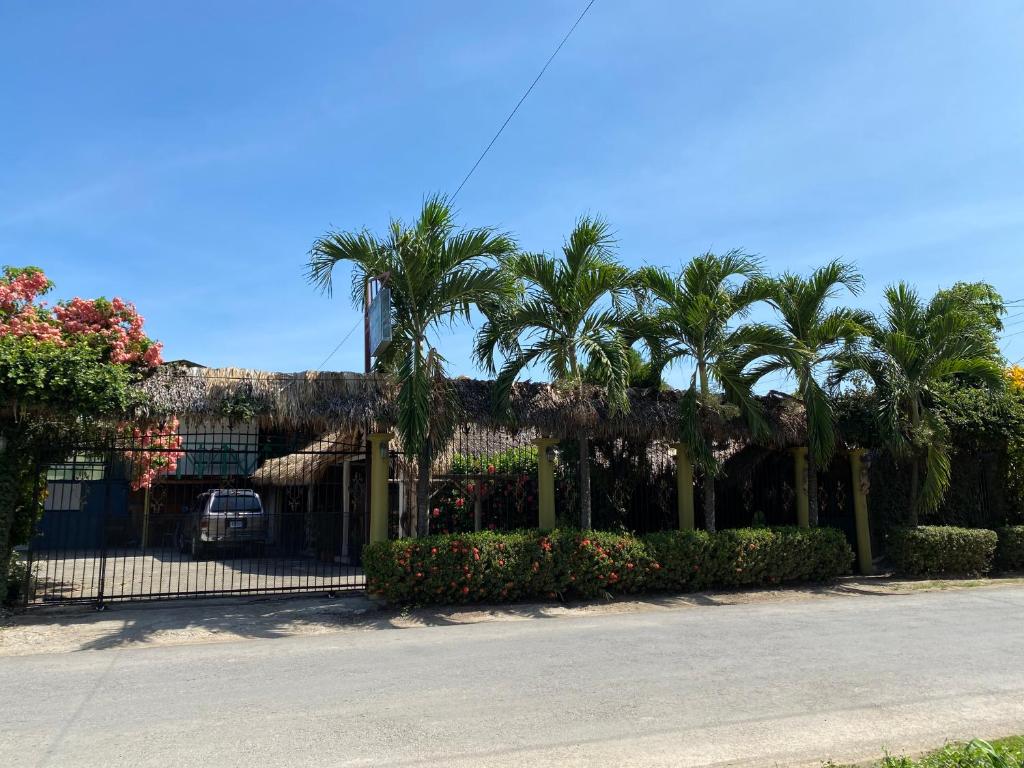 帕克拉Mauras Tropical Mini Hostel & Tours的街道前方有棕榈树的建筑