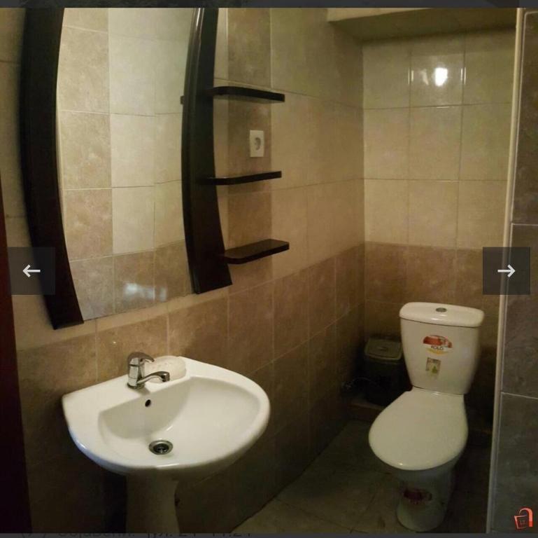斯特鲁加Lake apartments的一间带水槽、卫生间和镜子的浴室