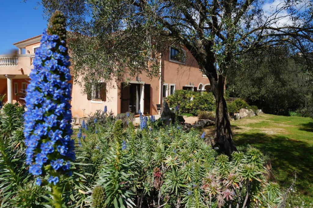 萨尔泰纳Chambre d'Hôtes Domaine Pero Longo的一座花园,在房子前面种着蓝色的花朵