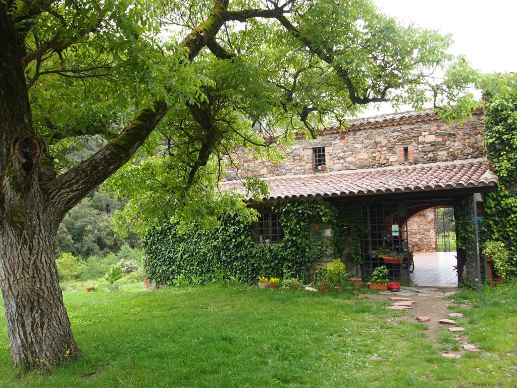 AiguafredaBed and Breakfast Casanova de Sant Miquel的前面有棵树的石头房子