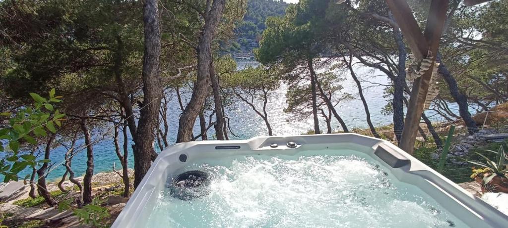 日列岛Apartment by the sea Žirje with private heated hydromassage pool的水边的树林里设有一个按摩浴缸