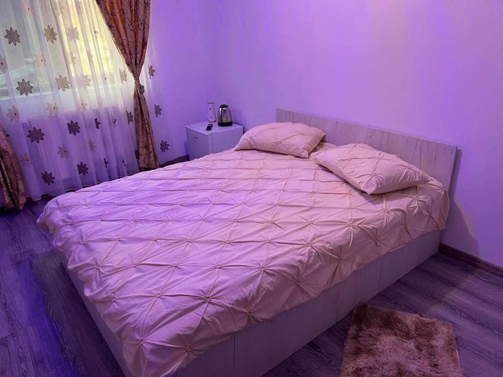Malu MarePensiunea B C M的紫色卧室配有一张带粉红色床单的床