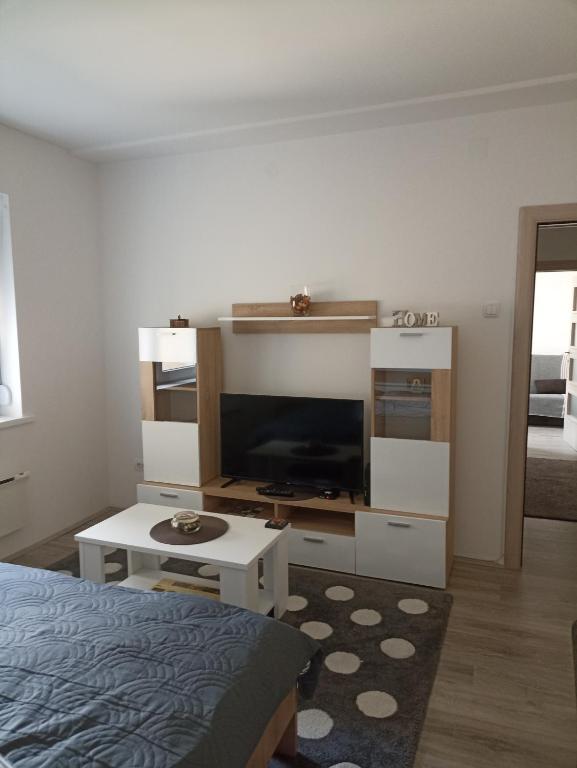 查查克Stančić kraj Morave的一间卧室配有一张床、一台电视和一张桌子
