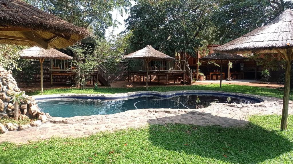 卡萨内Elephant Trail Guesthouse and Backpackers的一座带小屋的庭院内的小型游泳池