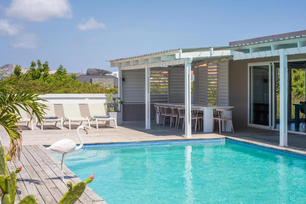 威廉斯塔德Boutique Hotel JT Curaçao的一座带游泳池和房子的别墅