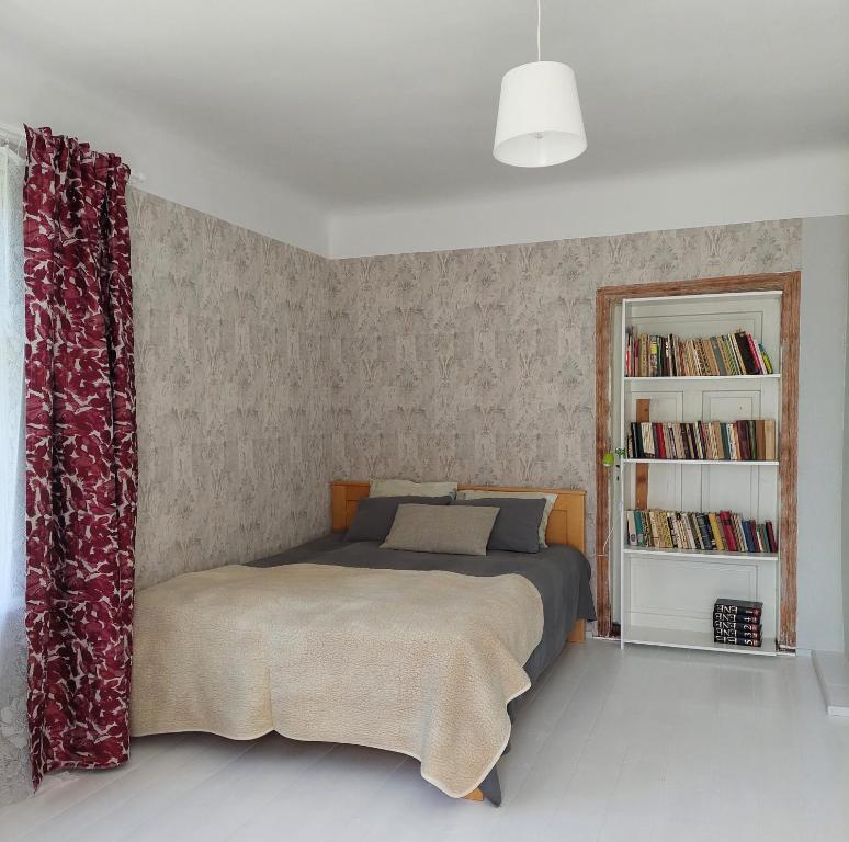 Jõevaara Veskitalu的一间卧室设有一张床和一个书架