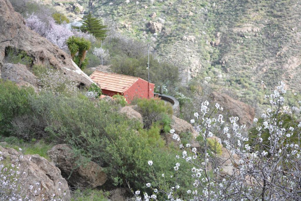 克鲁兹·德·特赫达Casa Cueva El Pedregal Tejeda的山边的红色建筑