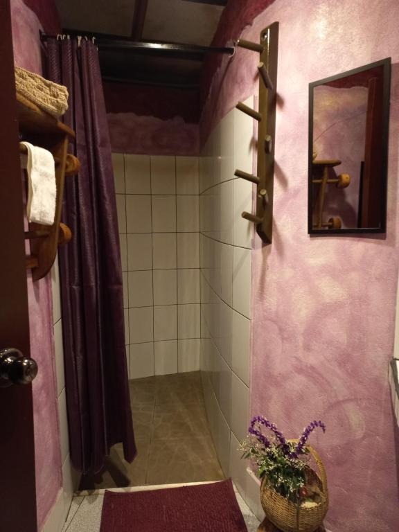 奥克萨潘帕Biosfera Lodge tipi para 3 personas的浴室设有粉红色的墙壁和植物淋浴