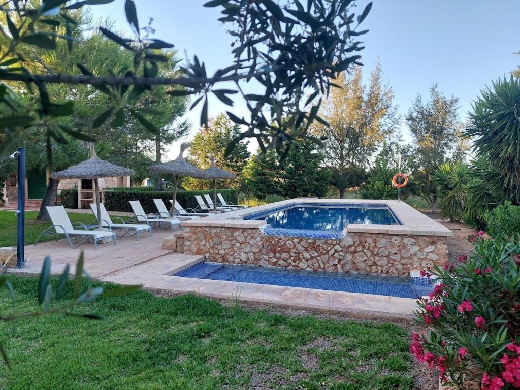 坎波斯Finca Girasols的一个带躺椅的庭院内的游泳池