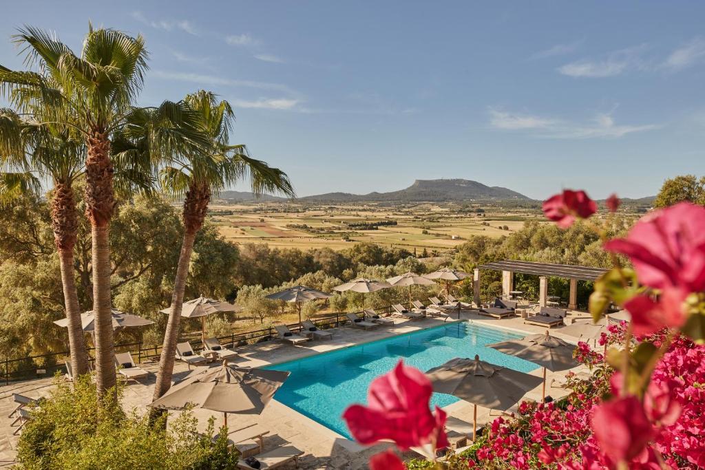 蒙图伊里Finca Serena Mallorca, Small Luxury Hotels的一座带游泳池、棕榈树和鲜花的度假村