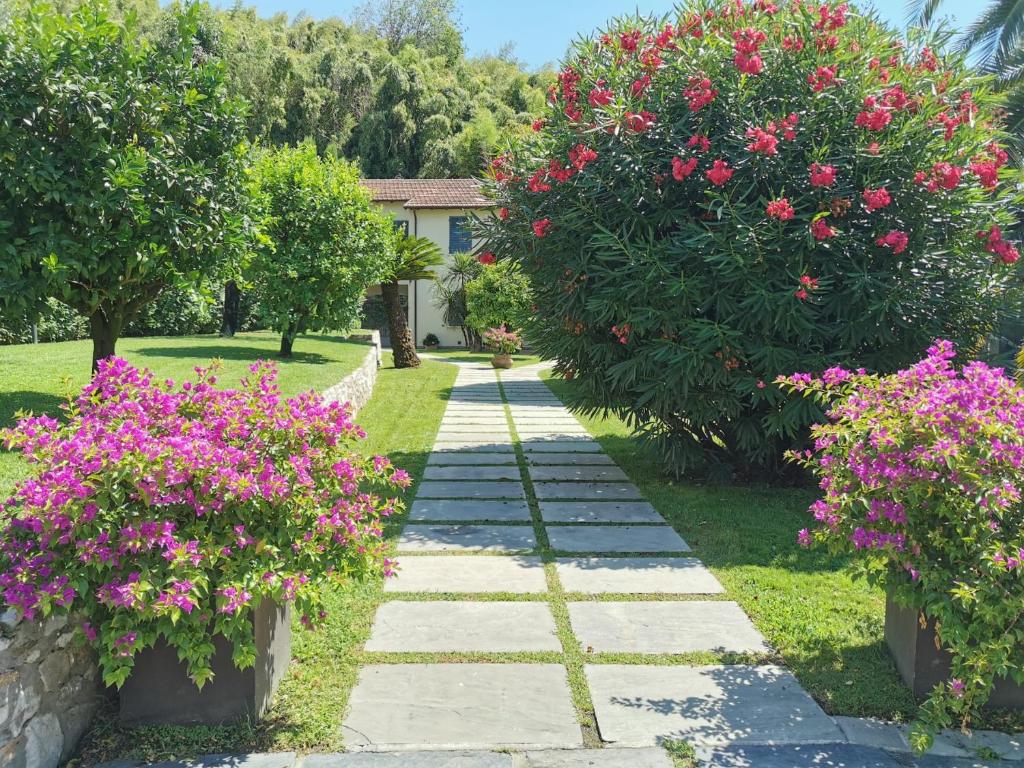 彼得拉桑塔Spazio d'arte relais的一座种有粉红色花卉的花园