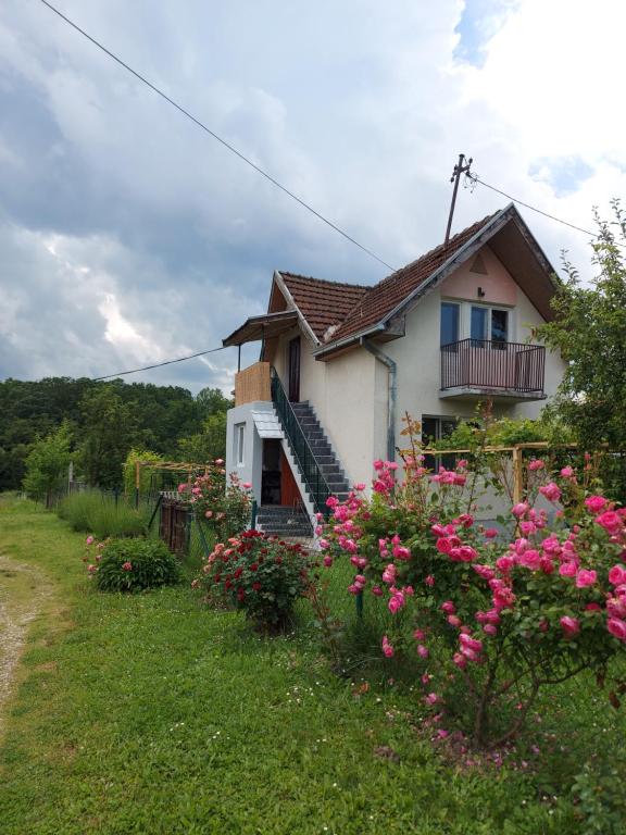 PožegaKuca - STUDIO的院子里有粉红色花的房子