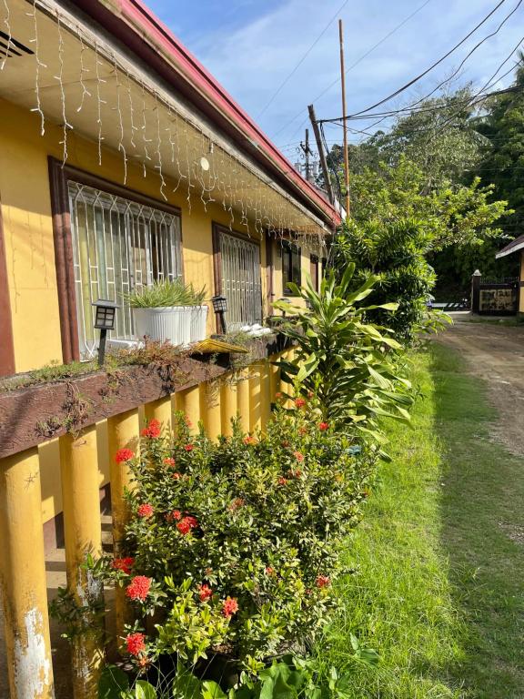 马斯巴特Maria Kulafu Studio Apartment Kinamaligan- Beside Eglin Gas FREE Wifi的黄色房子,带围栏和鲜花