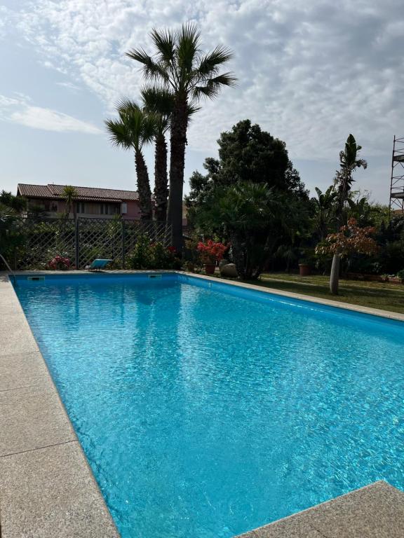 伊格莱西亚斯Villa Iris的蓝色的游泳池,后面有棕榈树