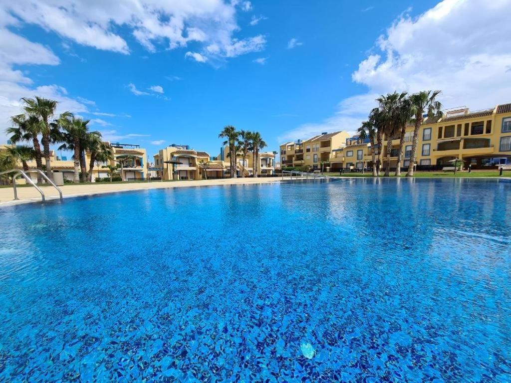 埃尔韦尔赫尔appartement bord de mer 15 mn de Dénia的一座种植了棕榈树和建筑的大型蓝色游泳池
