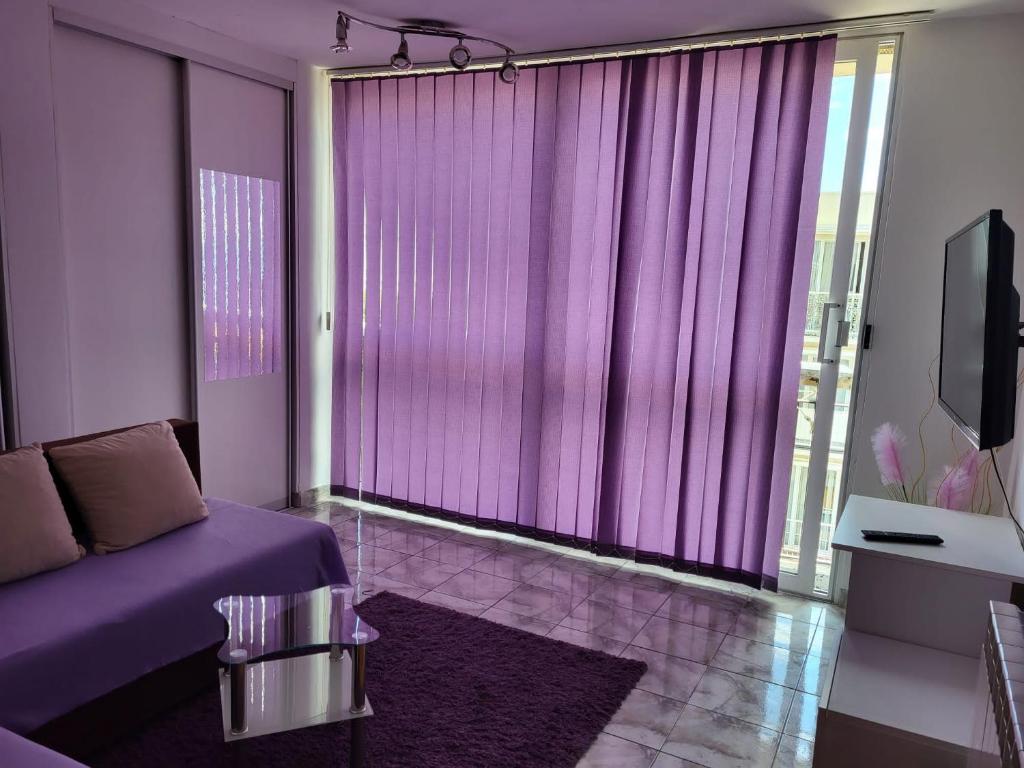 里耶卡史蒂芬妮公寓的紫色的客房设有一张床和大窗户