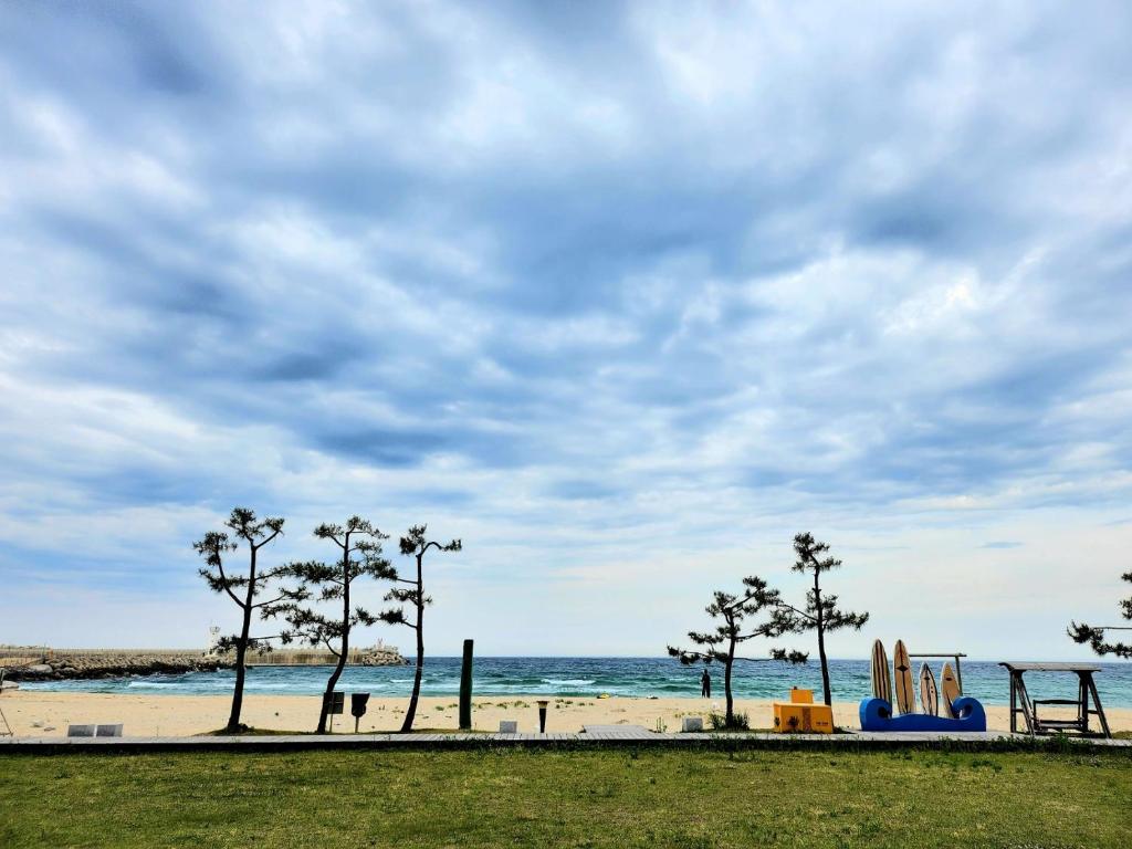 襄阳郡Ocean Stay Yangyang 1318的海滩上种有棕榈树和海洋的游乐场