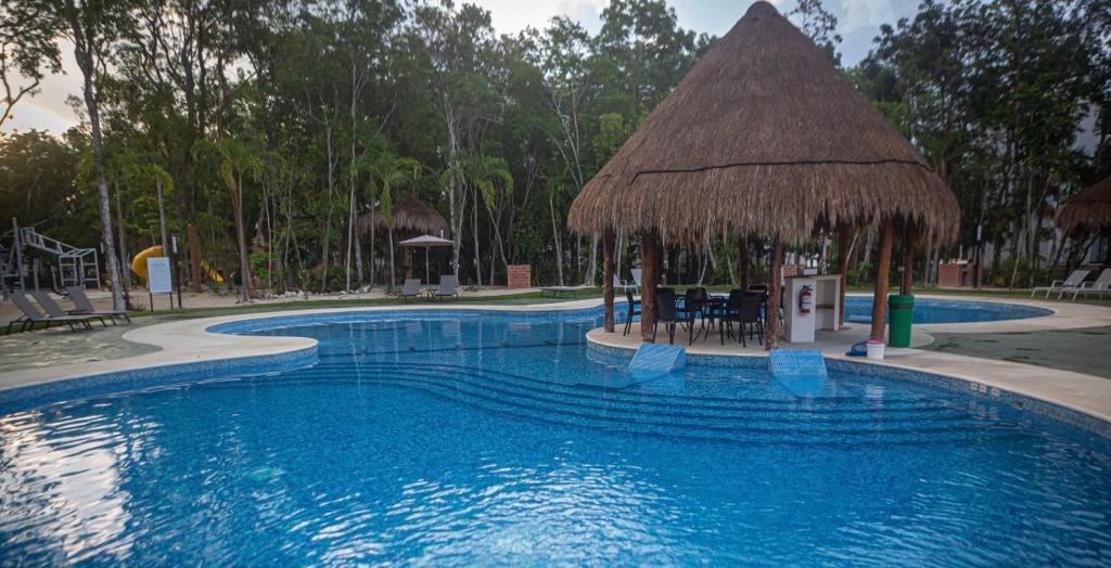 莫雷洛斯港Casa Tucan. A contemporary holiday or work nest的一个带草伞的大型游泳池