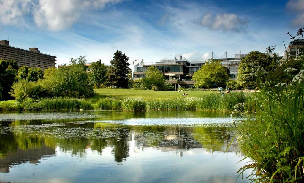 巴斯University of Bath Summer Accommodation的池塘的景色,池塘的建筑背景