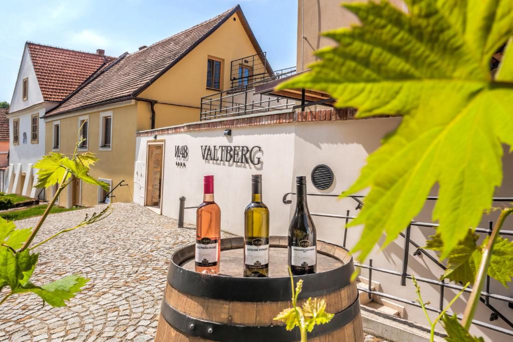 瓦尔季采Resort Valtberg Valtice的一座建筑前桶里三瓶葡萄酒