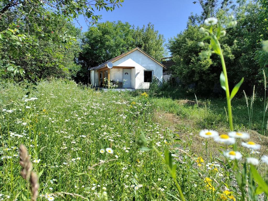 SzigetmonostorRéved(ez)的花丛中间的小房子