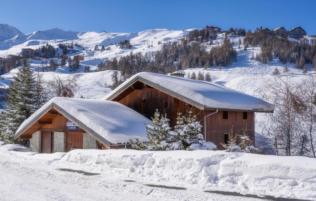 拉普拉涅1800Odalys Chalet Sporting Lodge的积雪覆盖的山中