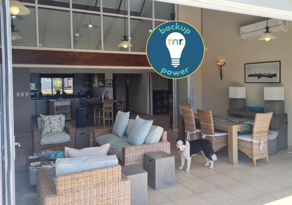 安德伯格25 Hazyview Drakensburg Mountain Views的一只狗站在带灯泡的客厅