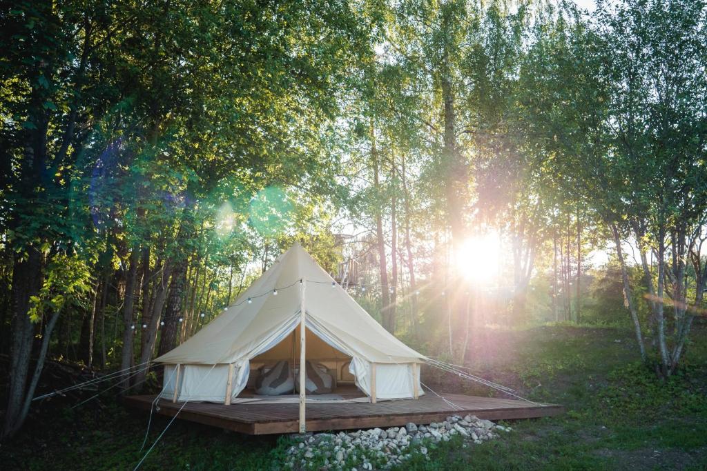PalukülaPaluküla Glamping Kase的森林中央的白色帐篷