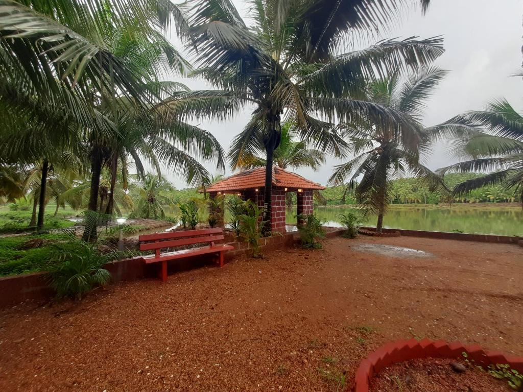 卡萨拉戈德Bekal Village Homestay的一个带长凳和棕榈树的公园