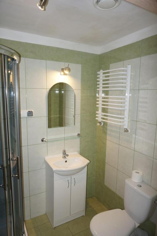 齐莱涅克Apartamenty Dzika Orlica的一间带卫生间、水槽和镜子的浴室