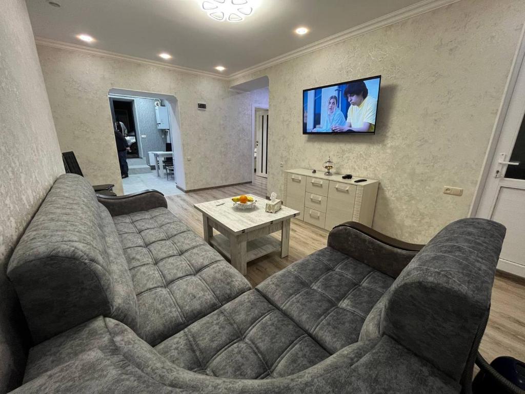 久姆里Central Charm Guesthouse的客厅配有沙发和墙上的电视