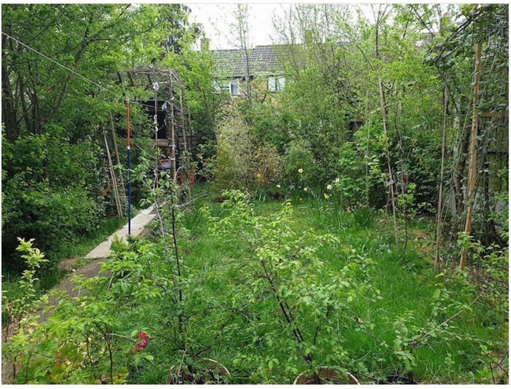 巴塞尔顿Basildon House的一座绿意盎然的花园