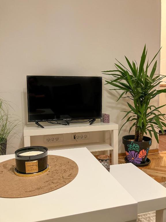 诺维萨德Appartment Passage的客厅配有餐桌上的平面电视
