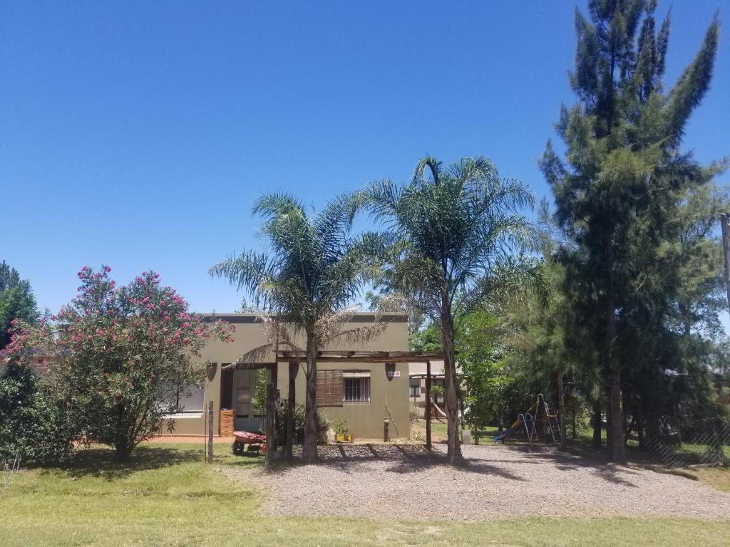 科隆El Sosiego Posada de Campo的两棵棕榈树在房子前面