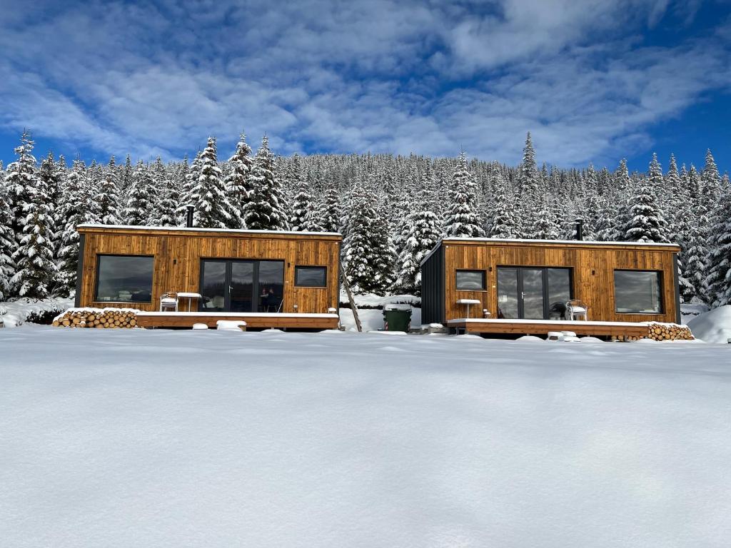 陶比斯特拉Heaven`s cabins的雪中小屋,有雪覆盖的树木