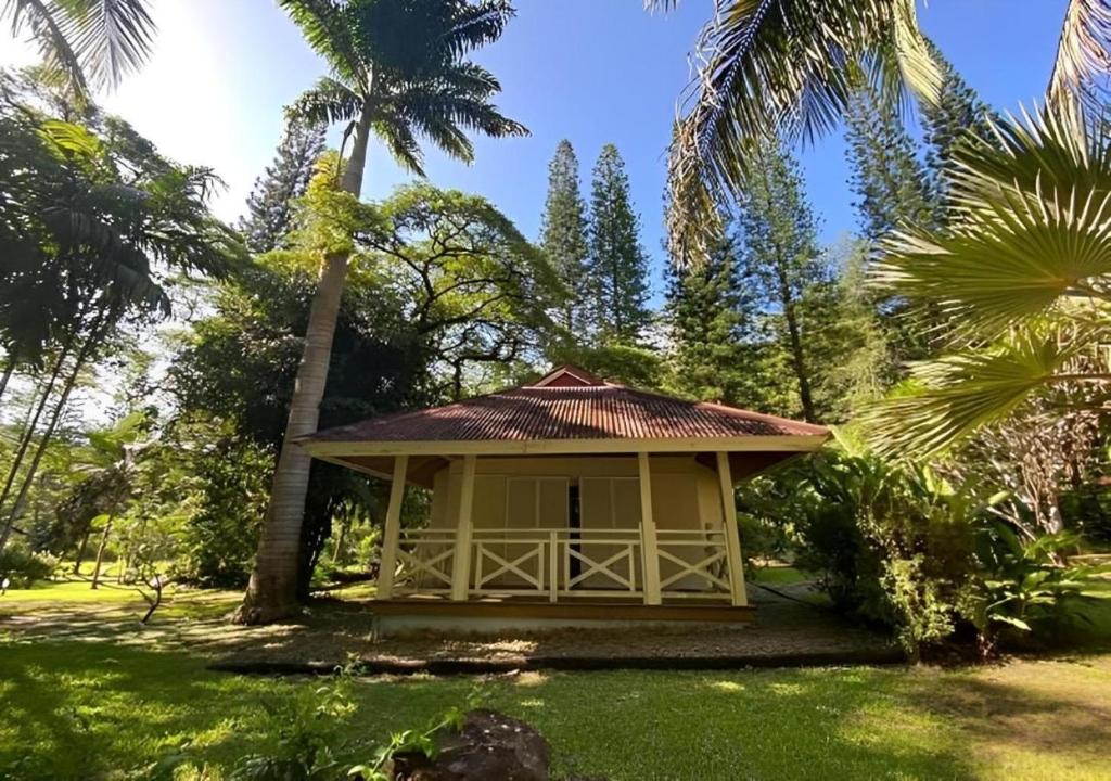 SarraméaEVASION Bungalow d'Antan Spa的棕榈树花园中的一个小小屋