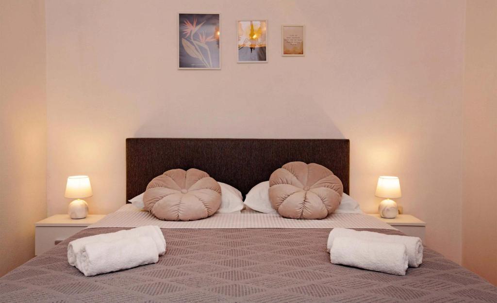 尼亚卢卡Apartman Žuvela的一间卧室配有一张大床和两个枕头