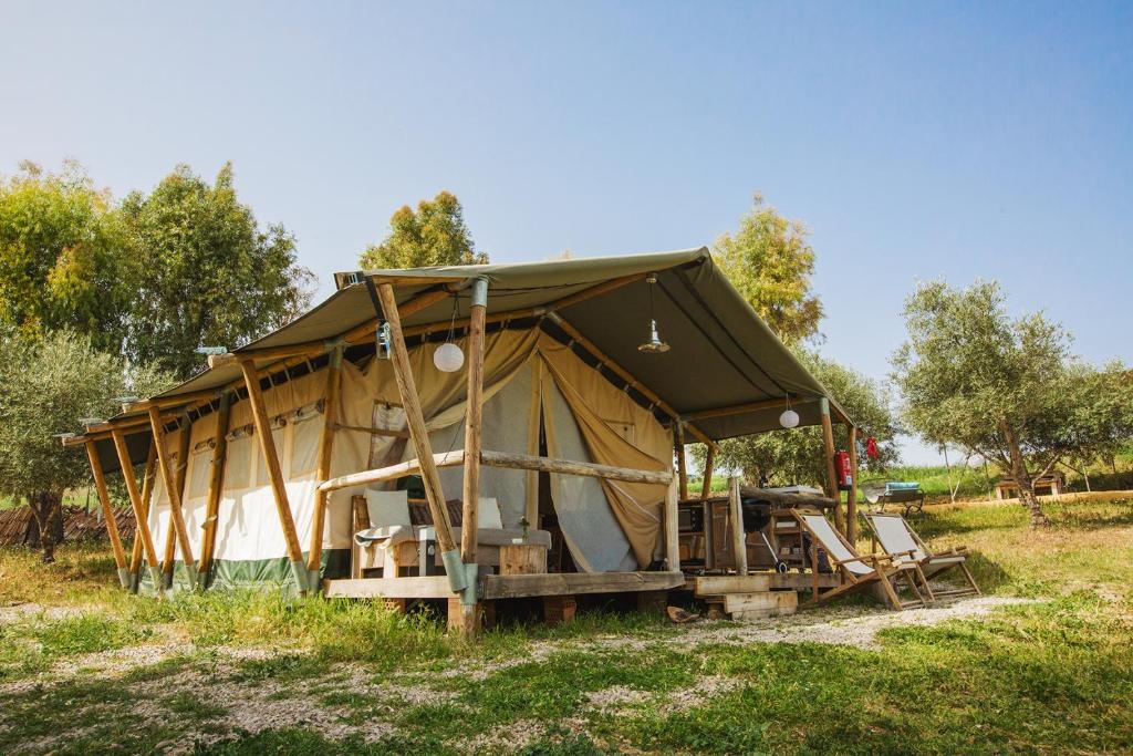 蒙地卡罗Tienda de Safari Almagro的田野上带椅子的大帐篷