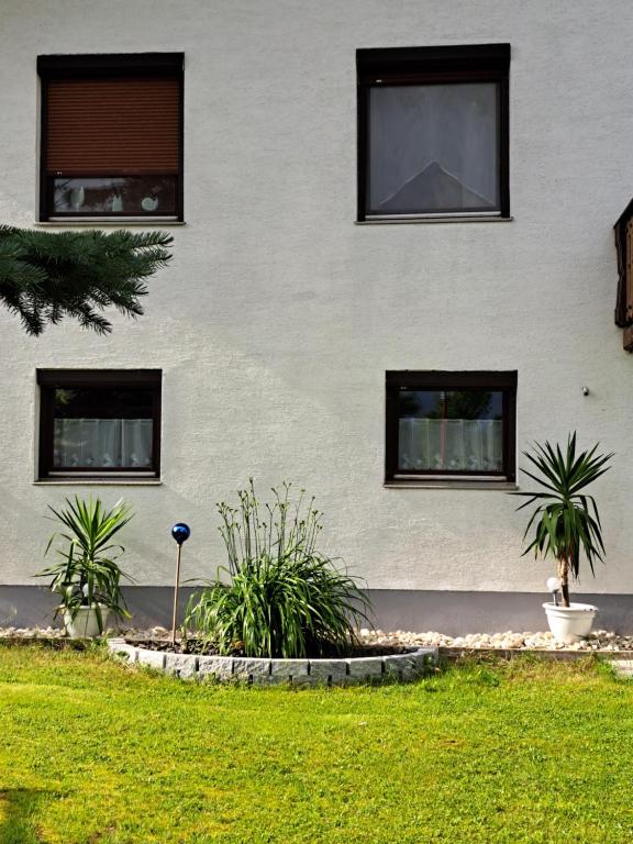 伊伯恩道夫Appartment Resi wohlfühlen und relaxen的院子内有窗户和植物的建筑
