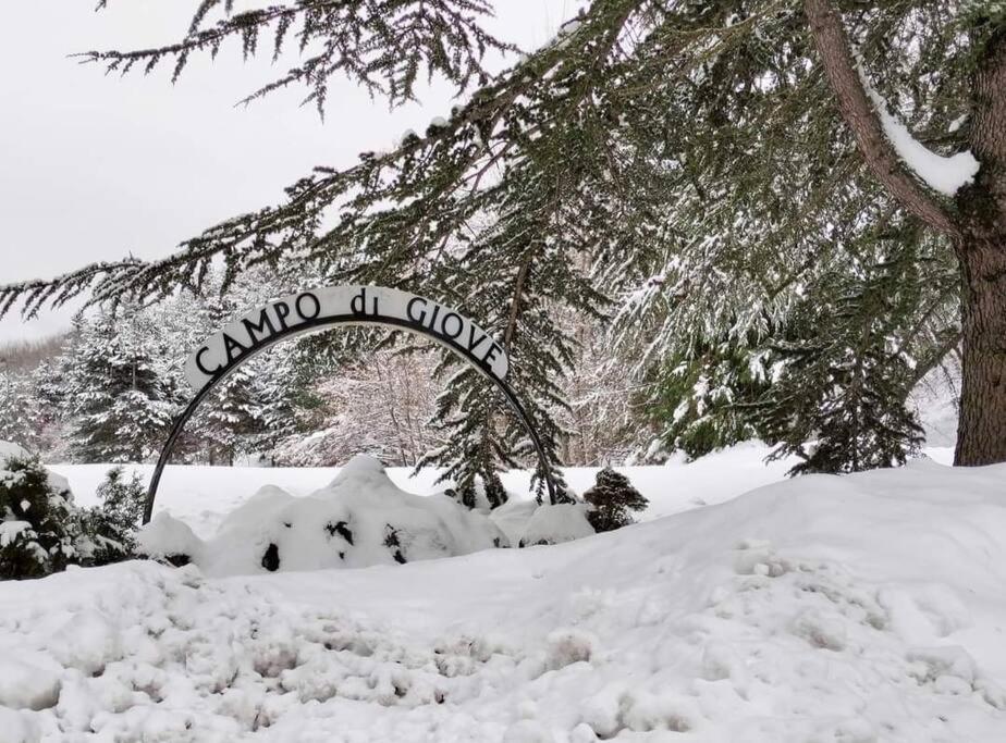 坎波迪焦韦Nicola's house的树旁雪中的标志