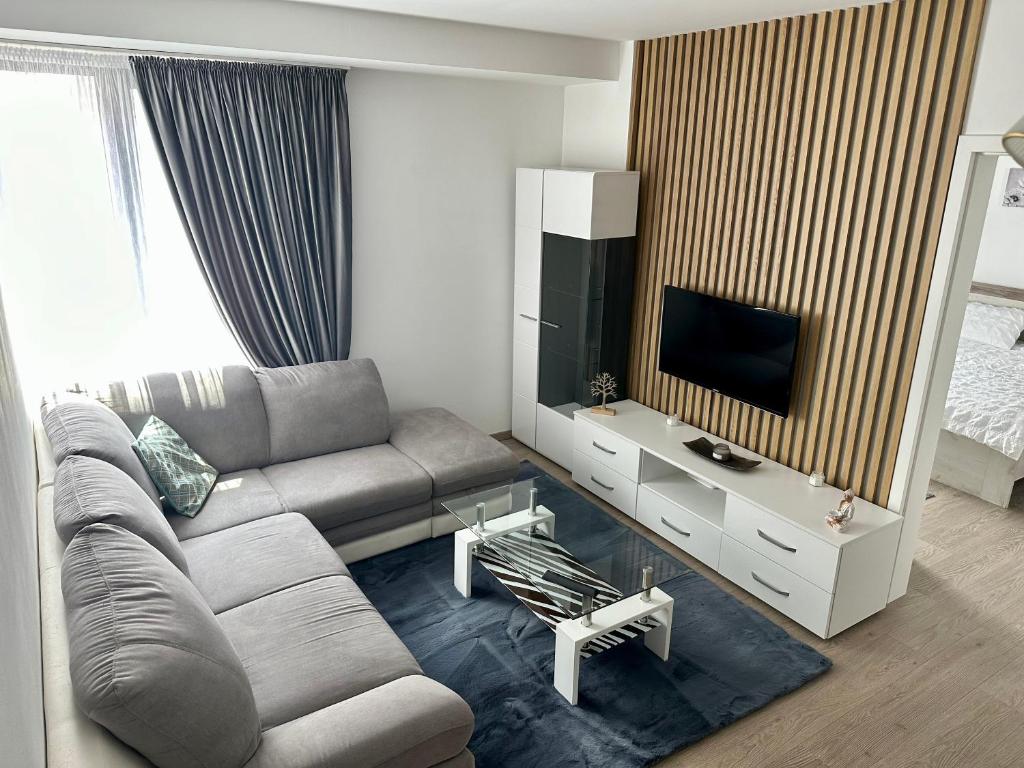 比斯特里察Nix Apartment - Calea Moldovei的带沙发和电视的客厅