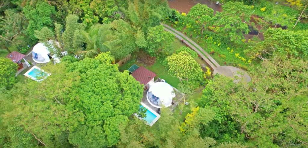 LemeryShanti Wellness Sanctuary的森林中房屋的顶部景观