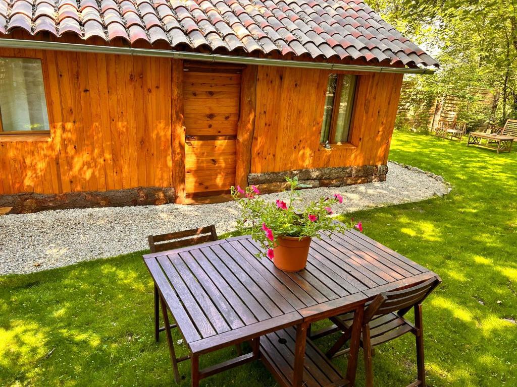 MalaussèneChalet Privé Cosy的小屋前的一张带鲜花的木桌