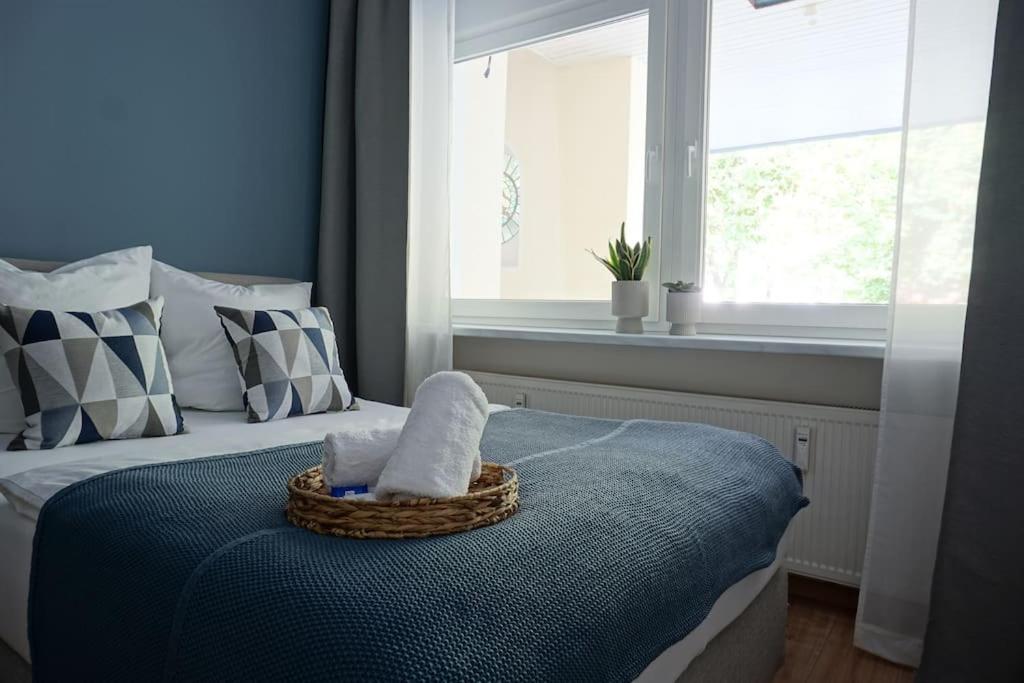帕德博恩Südstadt-Apartment im Herzen von Paderborn的一间卧室配有一张带窗户的床,上面有一个篮子