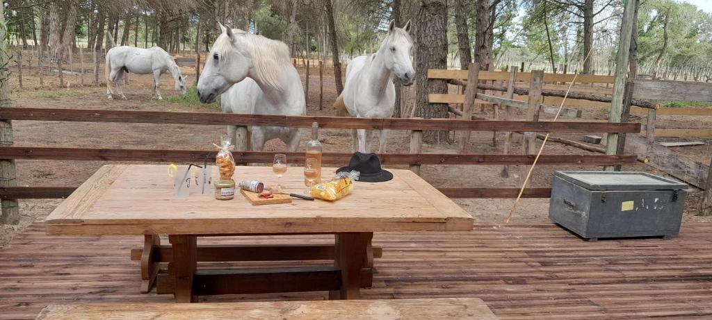 艾格-莫尔特Logement Lodge au cœur de la Manade的两匹白马站在木栅栏后面,配有桌子