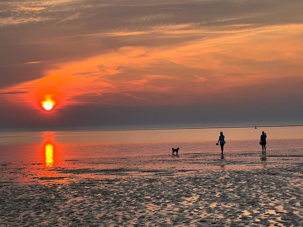 亨斯坦顿Pebble Stones的日落时分,两人和一只狗在海滩上